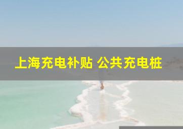 上海充电补贴 公共充电桩